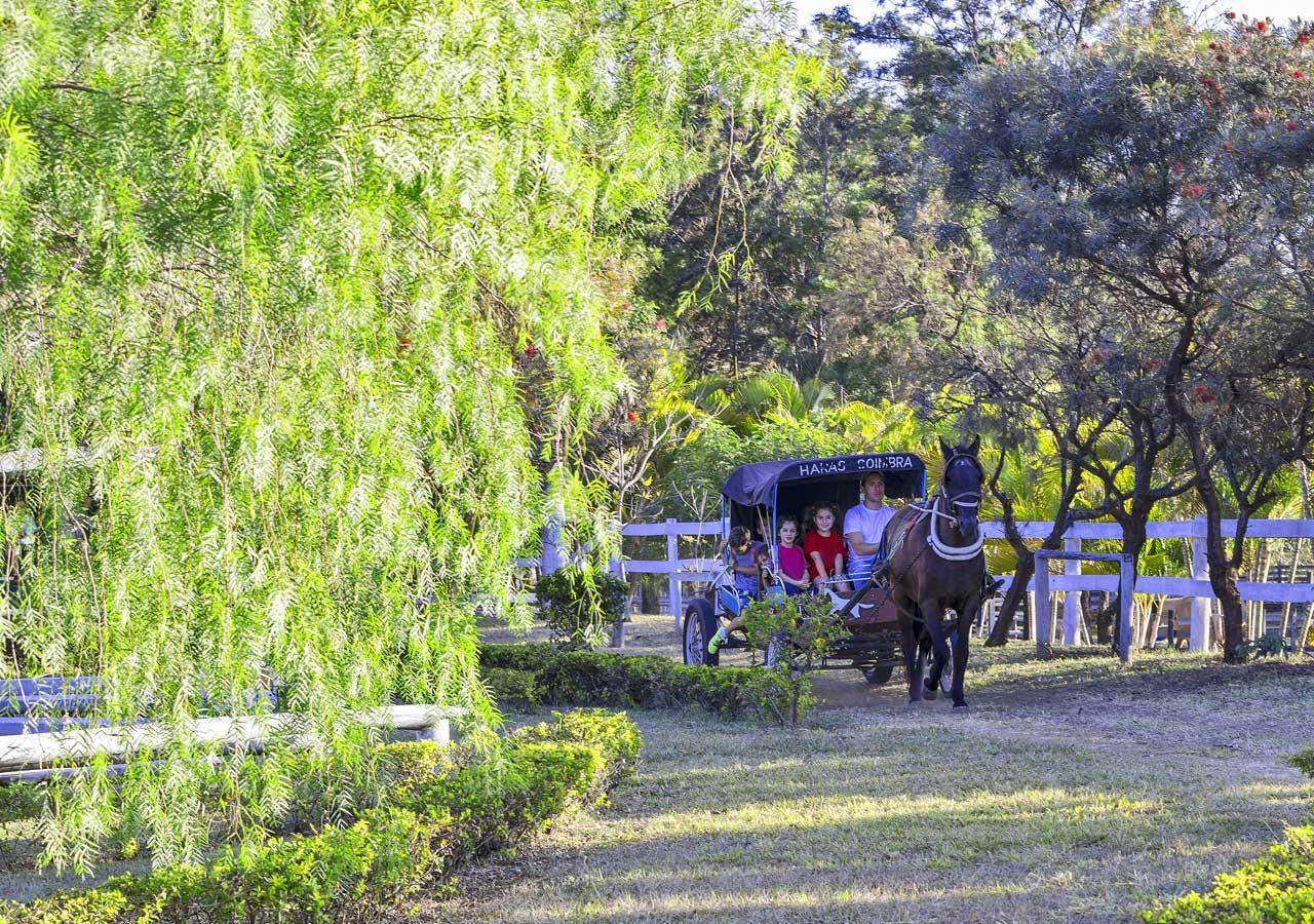 Brotas Eco Hotel Fazenda Екстер'єр фото